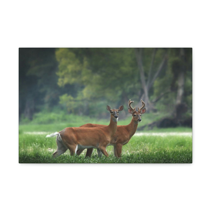 No Frame Print on Canvas