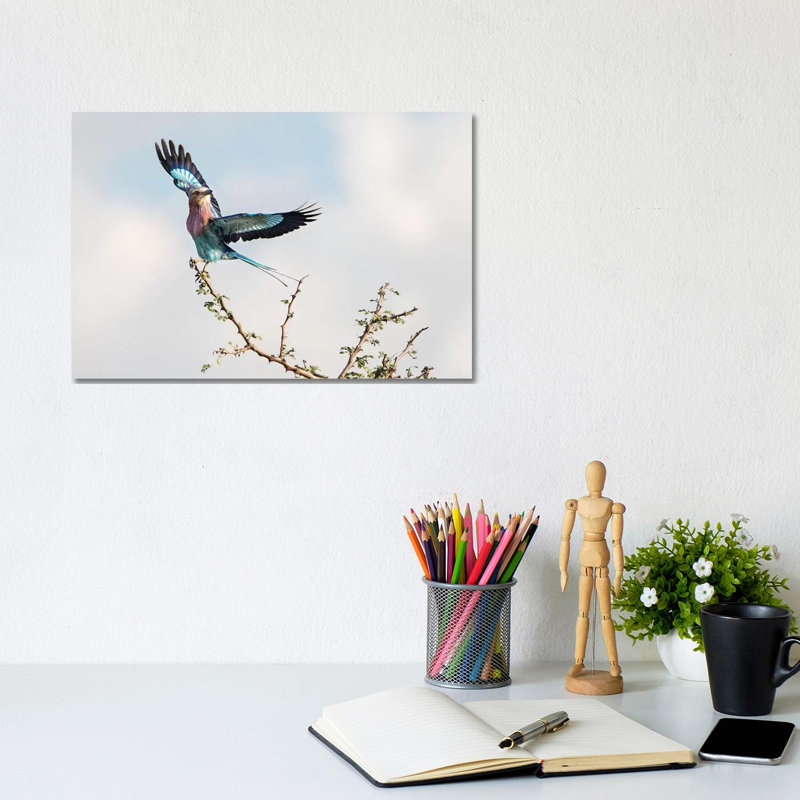 Take Flight by MScottPhotography - Wrapped Canvas Print, 20.32 cm H x 30.48 cm W