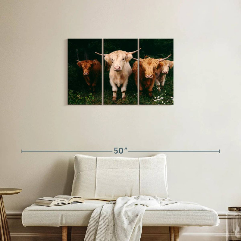 Light Haired Highland Cows, 20" H x 33" W