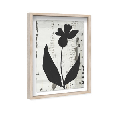 Single Orchid Print by Oliver Gal