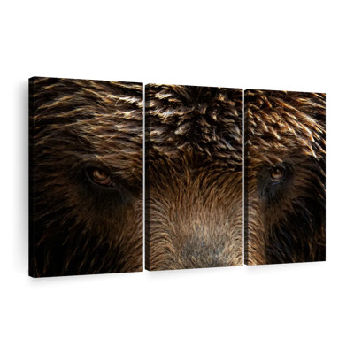«Grizzly Bear Eyes» sur