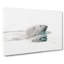 Polar Bear Swimming Painting - Wrapped Canvas-56659182