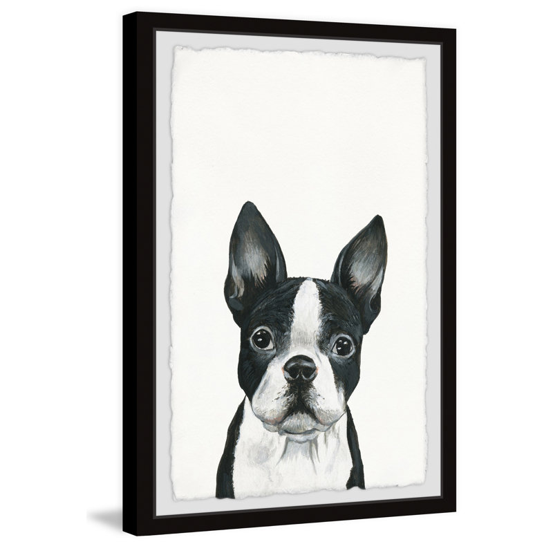 Curious Doggy by Marmont Hill - Single Picture Frame Print, 30cm H x 20cm W x 3.81cm D