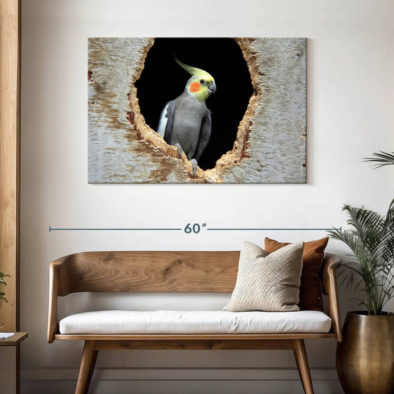 Cockatiel Brampt dans un trou, H 30 po x l 45 po