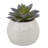 4'' Faux Succulent in Pot