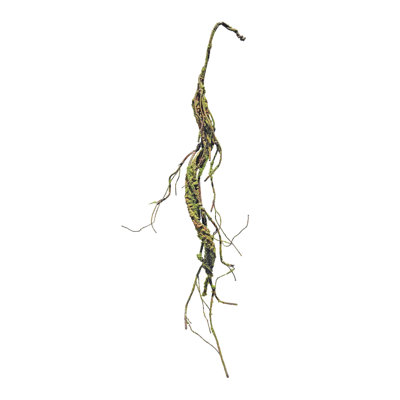 Guirlande Mossy Twig (ensemble de 2)