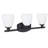 3 - Light Vanity Light
