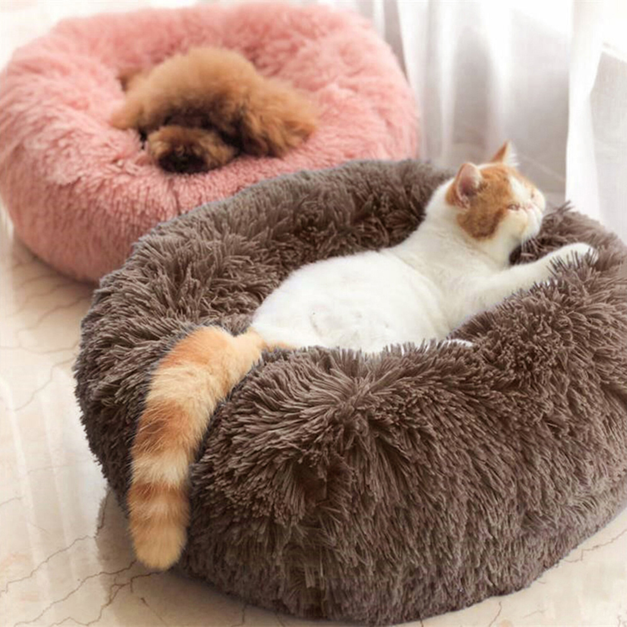 Wayfair best sale pet beds