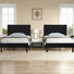 Twin Size Bed Set Upholstered Platform With Adjustable Diamond Tufted Headboard