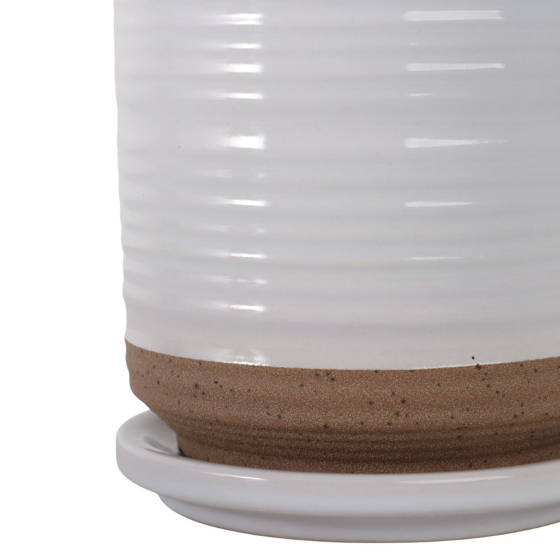 Balmer Ceramic Saucer Planter with Ribbed Texture, 1, White