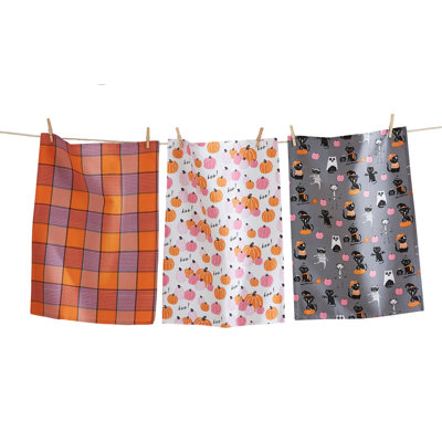Costume Cat Pumpkin Dishtl S3