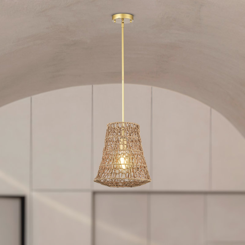 Clemmie 1 - Light Novelty Pendant, Gold, Natural