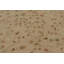 Handmade Wool Area Rug