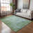 Machine Washable Indoor/Outdoor Kaczor ACN2224 Floral Rug-852581235