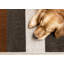 Tapis d'intérieur brun à poils courts Mentko-1709457237