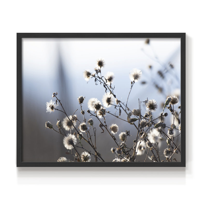Spring Fluff -Framed Print - Restickable, 8" H x 10" W, Black