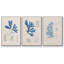 Algues bleu marine VI-91887797-91887800