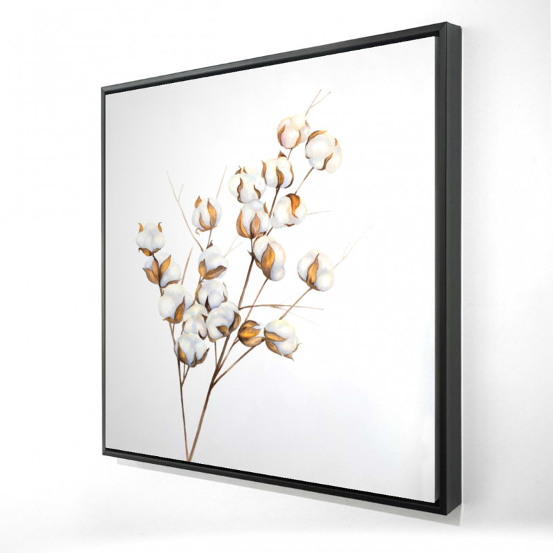 "Une branche de fleurs de coton"