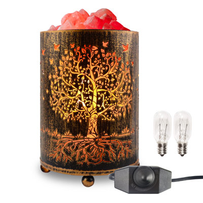 VanVleet Himalayan 3.32 lbs Salt Lamp