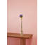 Macedo Glass Bud Vase