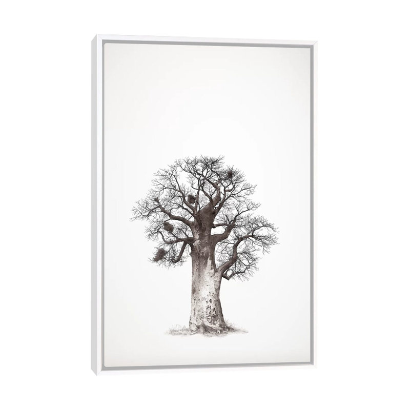 Baobab Legacy V by Klaus Tiedge - Print on Canvas, White Framed, 66.04 cm H x 45.72 cm W
