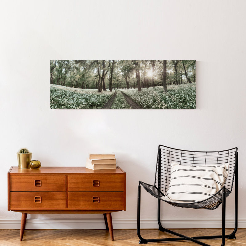 Forest Horizon Path Canvas Print