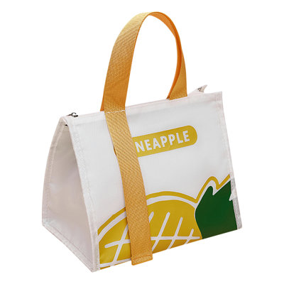 Backpack Large-capacity Portable Lunch Box Bag Thickened Lunch Bag Insulation Bag Office Worker Lunch Bag Lunch Bag