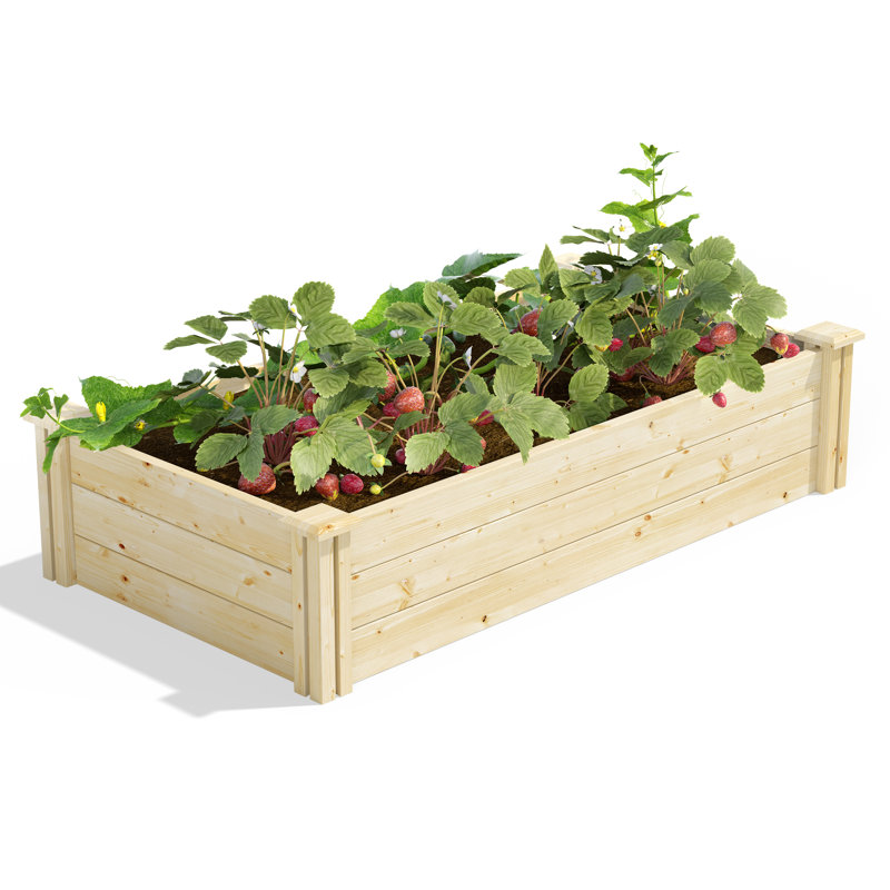 Katsuyoshi Wood Raised Garden Bed, Pine, 10.5" H x 24" W x 48" D