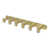 Satin Brass