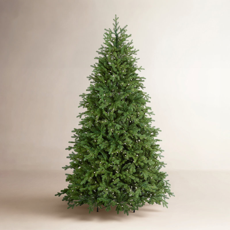 Sapin Fraser avec PowerConnect et lumières DEL bicolores Princeton Fraser Fir, H 90 po