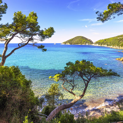 Elba Island Sea by StevanZZ - Wrapped Canvas Print