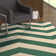 Asencio Wool Chevron Indoor Rug