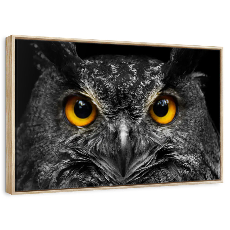 Hibou jaune, 40 po x 27 po, Cadre flottant en bois naturel