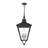 4 - Light Outdoor Hanging Lantern-171064988