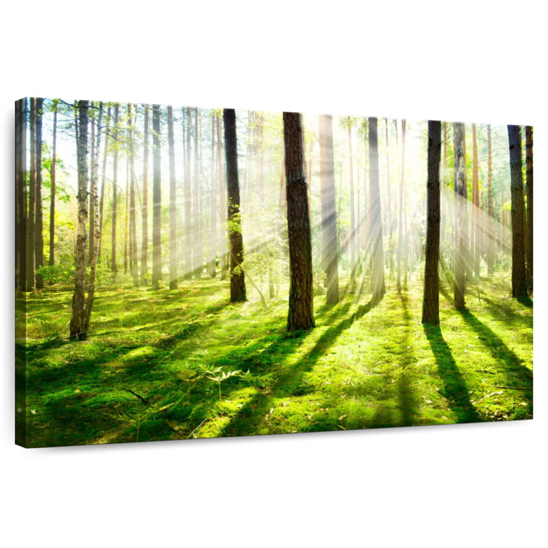 Harnek Sunshine Trees, 16" H x 24" W