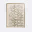 Studies Of Phlox Print by Julie De Glad