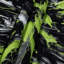 Tapisserie murale Neo Expressionism 68-133633504