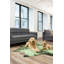 Maxen Performance Cowhide Animal Print Indoor Rug
