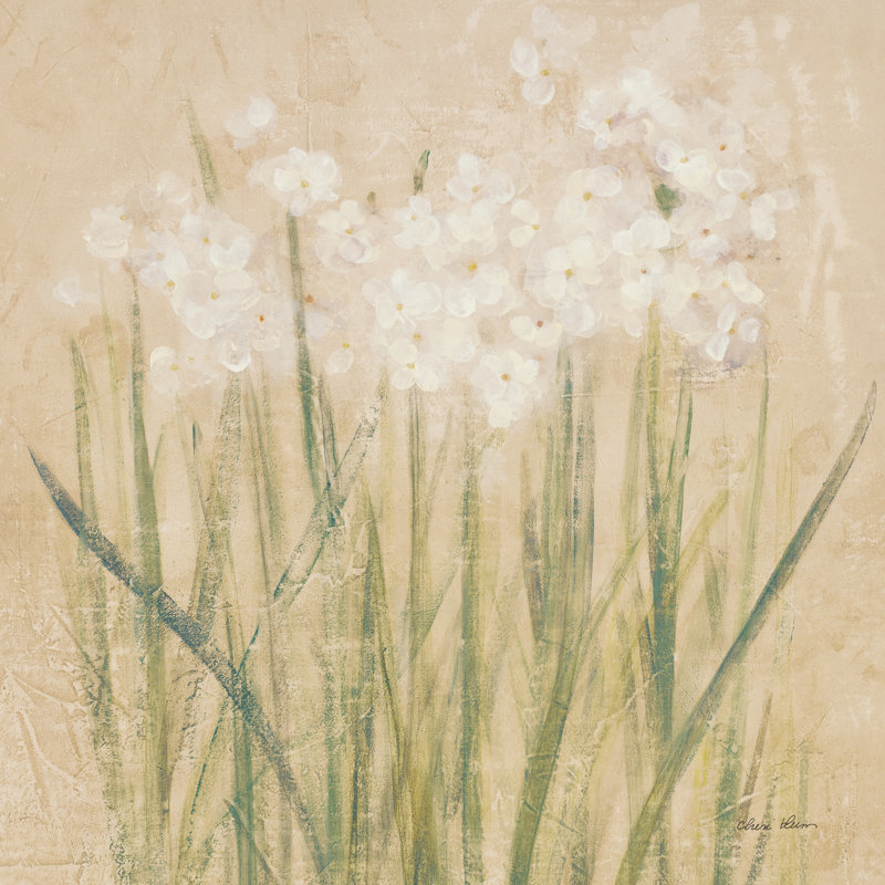 Narcisse carré, Non, H 12 po x l 12 po x P 1,25 po, Toile tendue