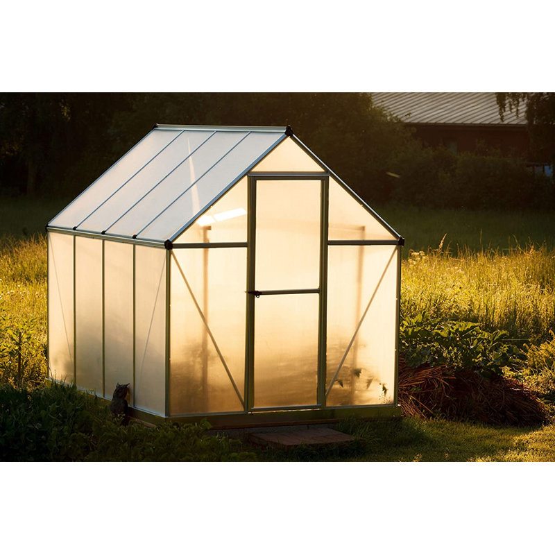 Paroi simple en polycarbonate de 6 pi x 2 pi 8 mm