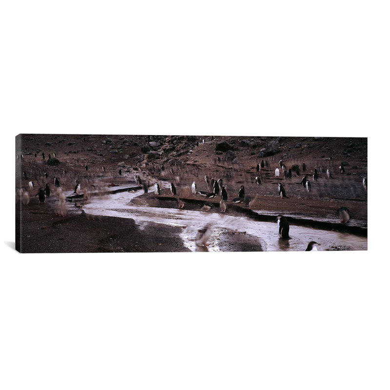 Panoramic Photograph on Canvas, 12" H x 36" W x 1.5" D, Wrapped Canvas