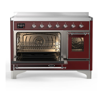 Majestic III Series 48 Inch Induction Range with 6 Induction Elements in Matte Graphite (Brass Trim)