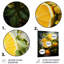 Citron agrume sérénité V - fruits, art mural en métal-1857927813
