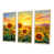Cadre naturel flottant