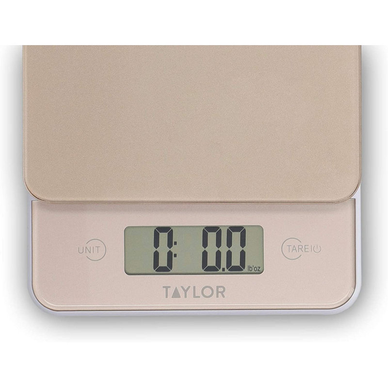 Taylor Digital Scale
