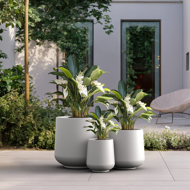 Brennus 3-Piece Cement Pot Planter Set, Crisp White
