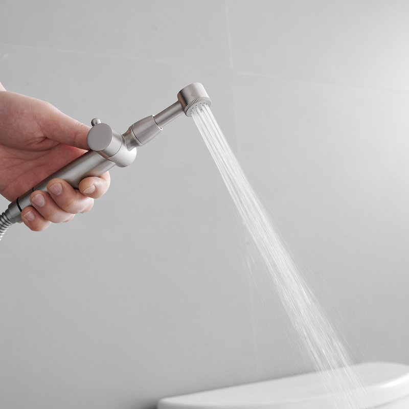 Hand Held Bidet, Brushed Nickel