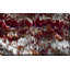 «A Contrite Spirit, Psalm 34:18» par Mark Lawrence, impression-1223005781-1223005780