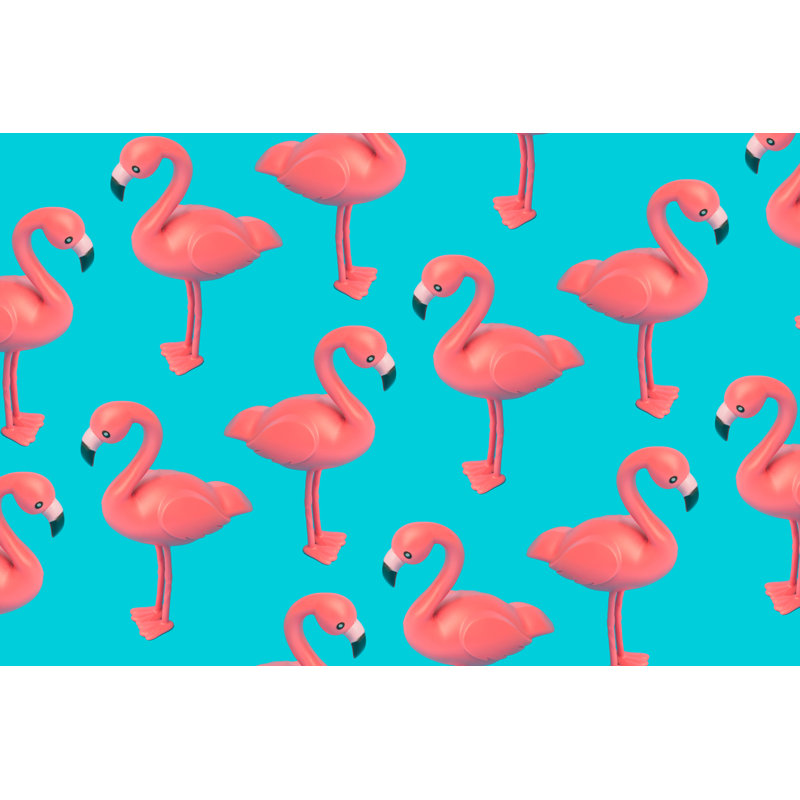 Flamingo by Ivan101 - Wrapped Canvas Print, 30cm H x 46cm W x 3.8cm D