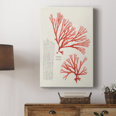 Étude de corail rétro I - galerie Cavas sur mesure